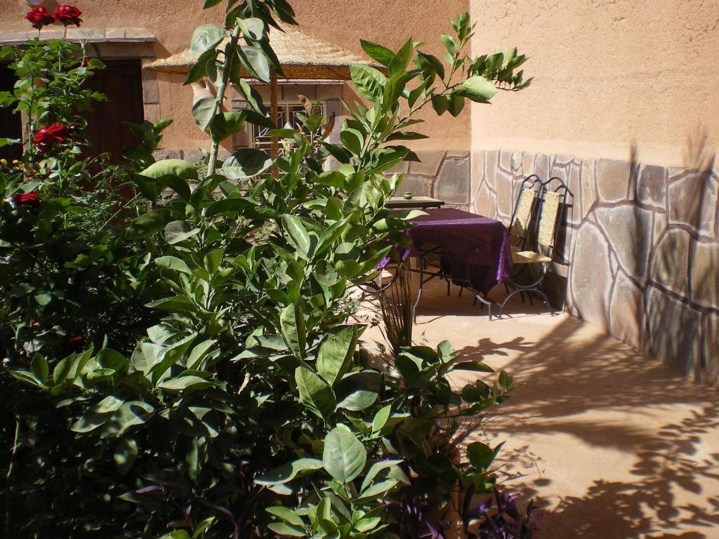 Maison D' Hotes Ait Hmid Nkob Exteriér fotografie