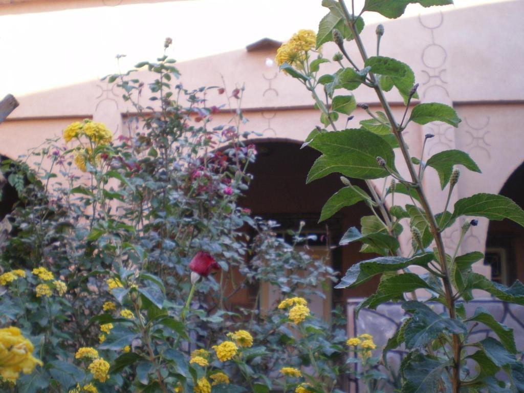 Maison D' Hotes Ait Hmid Nkob Exteriér fotografie
